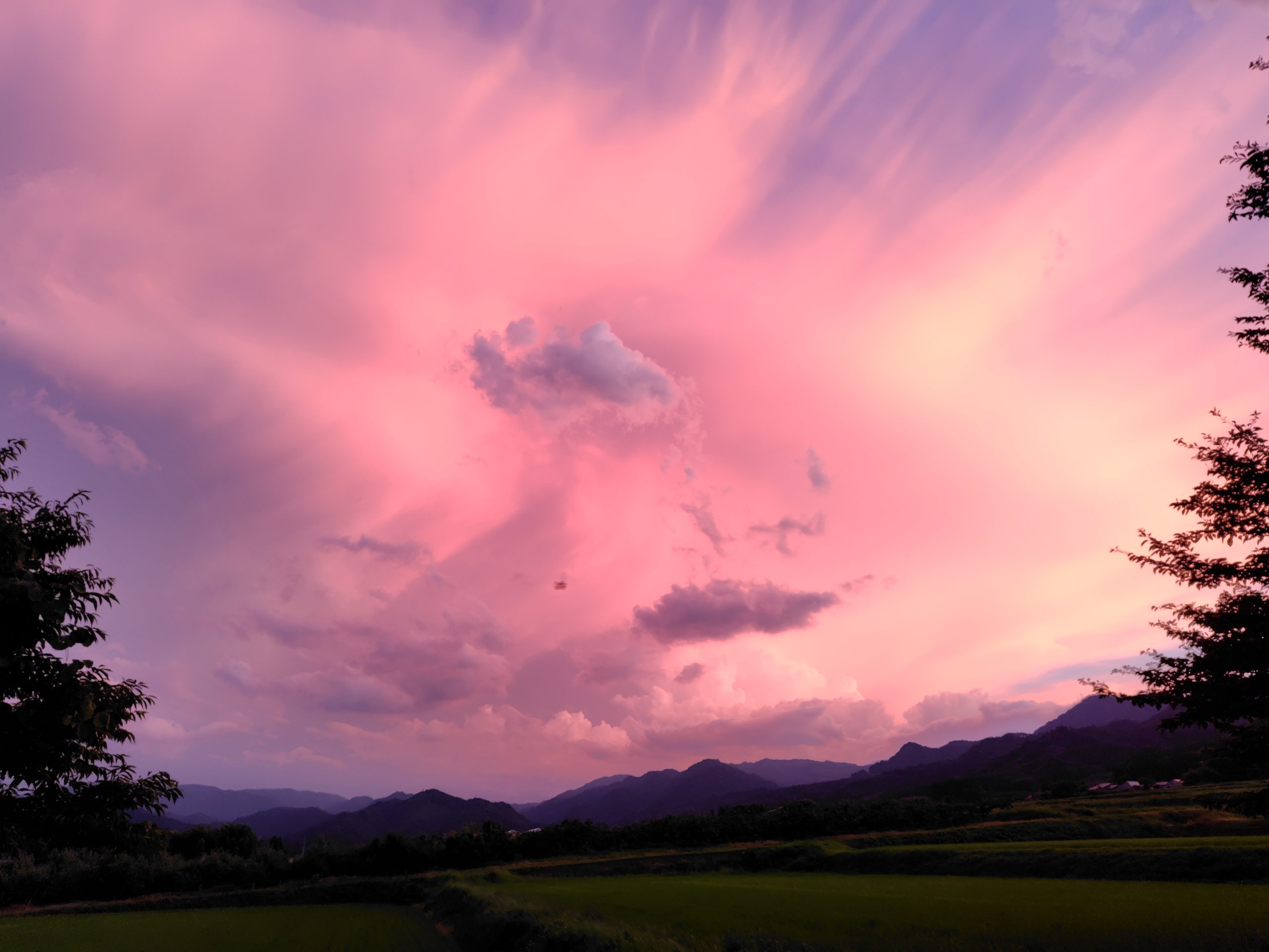 夕日