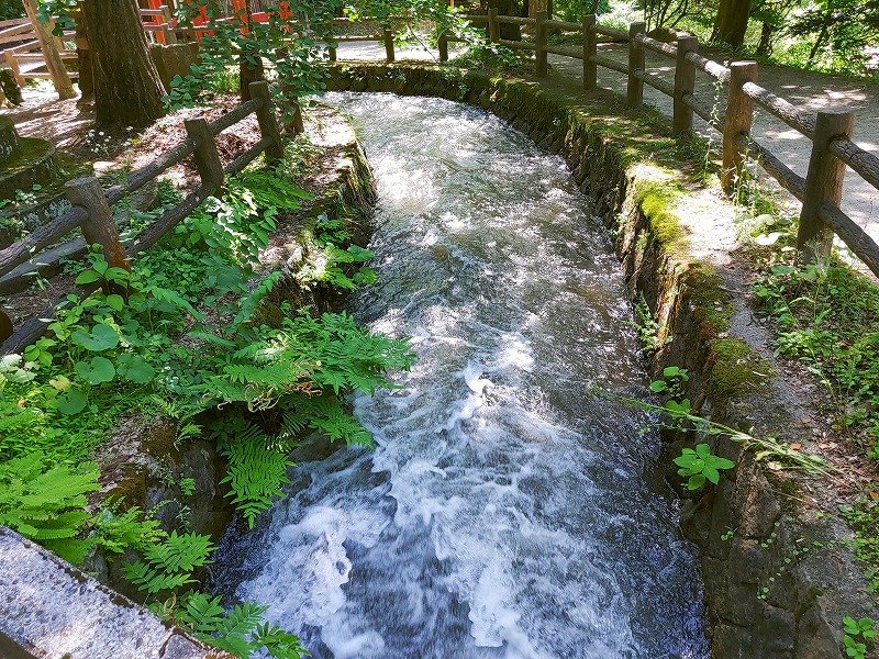 戸ノ口堰洞穴　用水路
